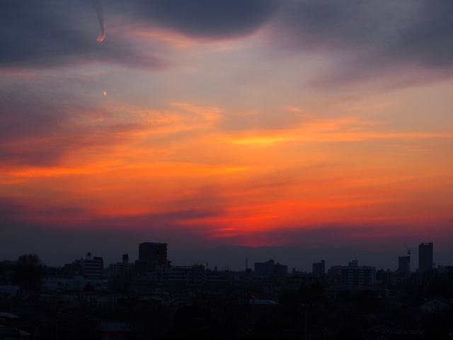 E3123685_1280x960_補正済.jpg