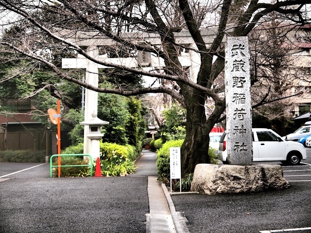 E3143831_1280x960_補正済.jpg