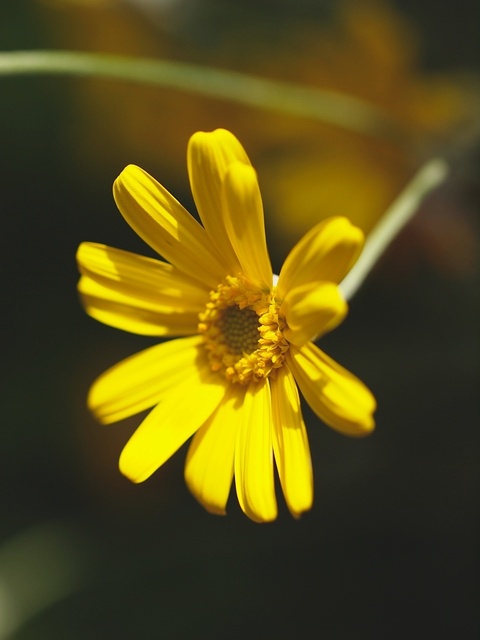 E5148809_1280x960_補正済.jpg