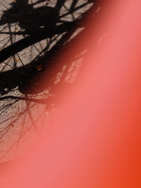 E5148850_1280x960_補正済.jpg