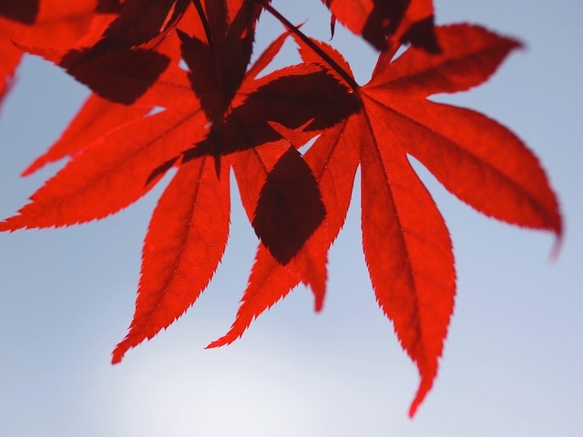 E5148862_1280x960_補正済.jpg