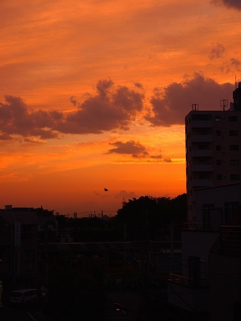 E5148866_1280x960_補正済.jpg
