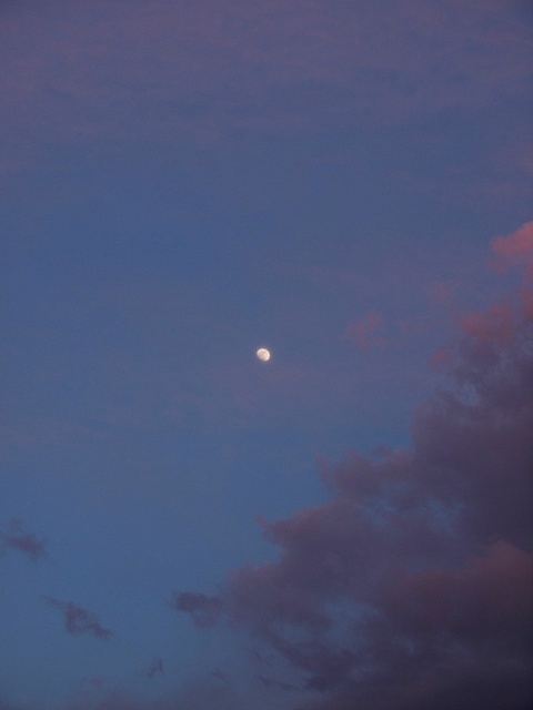 E5148867_1280x960_補正済.jpg