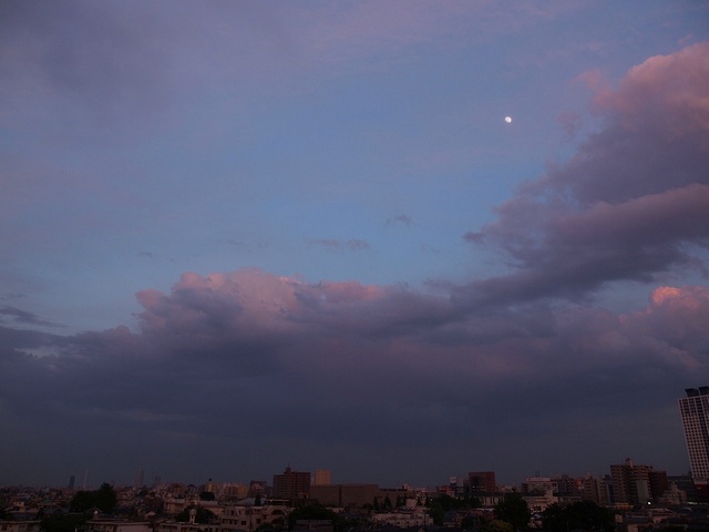 E5148869_1280x960_補正済.jpg