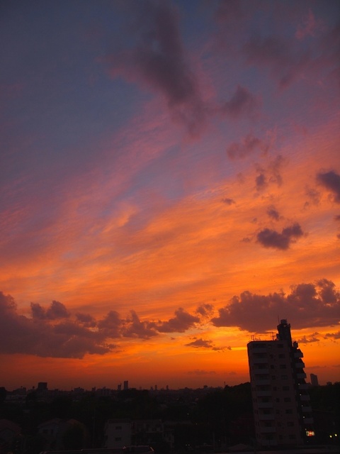 E5148877_1280x960_補正済.jpg