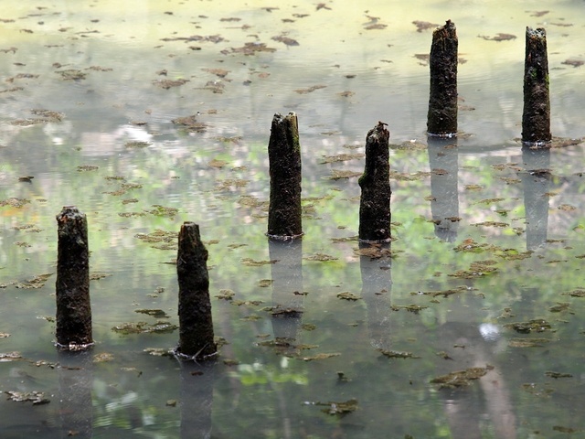 E6030233_1280x960_補正済.jpg