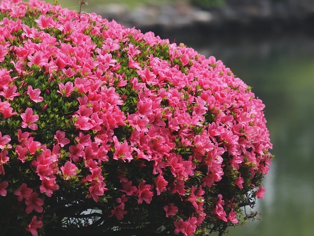 E6030333_1280x960_補正済.jpg