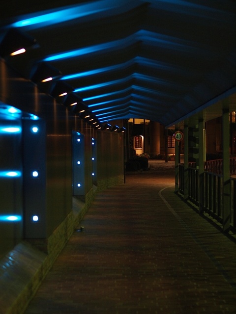 E6141545_1280x960_補正済.jpg