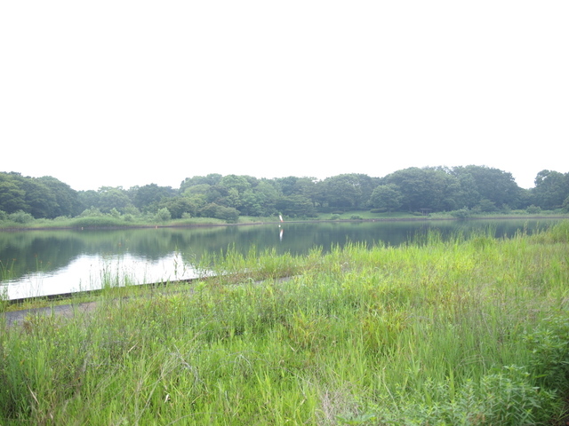 E7023429_1280x960.jpg