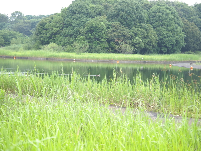 E7023432_1280x960.jpg