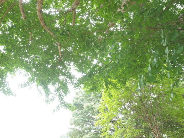 E7023548_1280x960.jpg