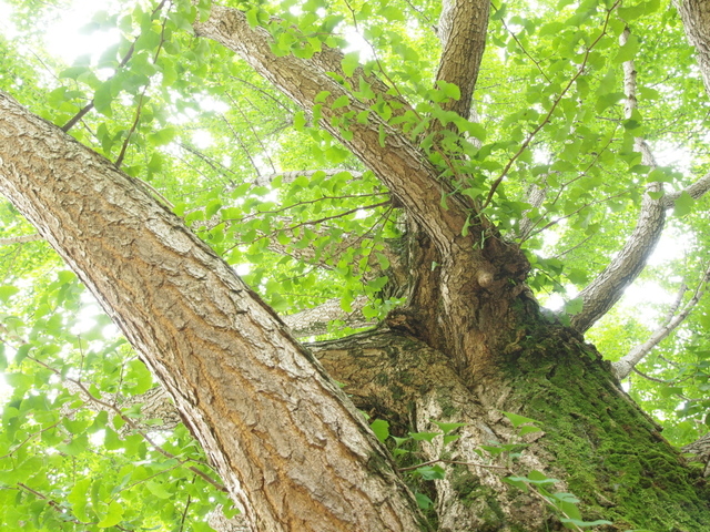 E7023552_1280x960.jpg