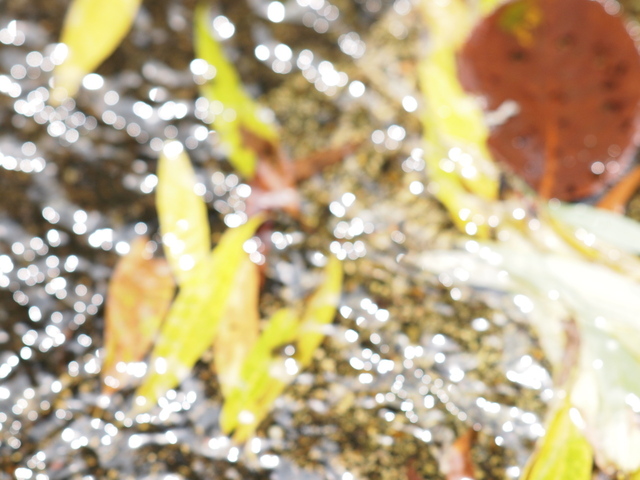 E7023636_1280x960.jpg