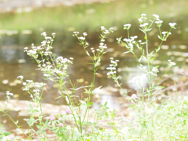 E7023650_1280x960.jpg