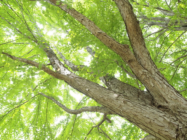 E7023682_1280x960.jpg