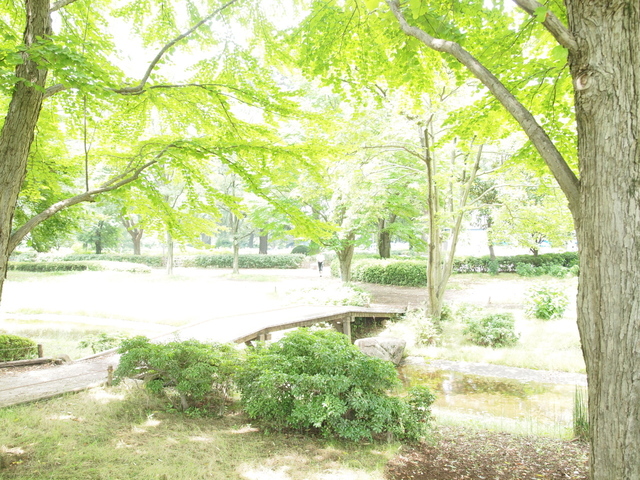 E7023693_1280x960.jpg