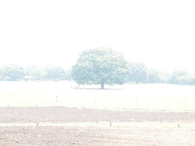 E7023698_1280x960.jpg