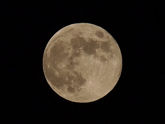 E7154916_developped_+640x480_補正済.jpg