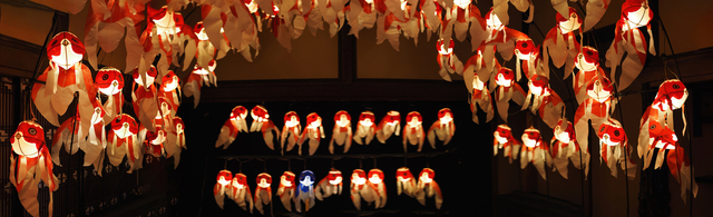 百段階段_金魚_パノラマ_20150708_2048x625.jpg