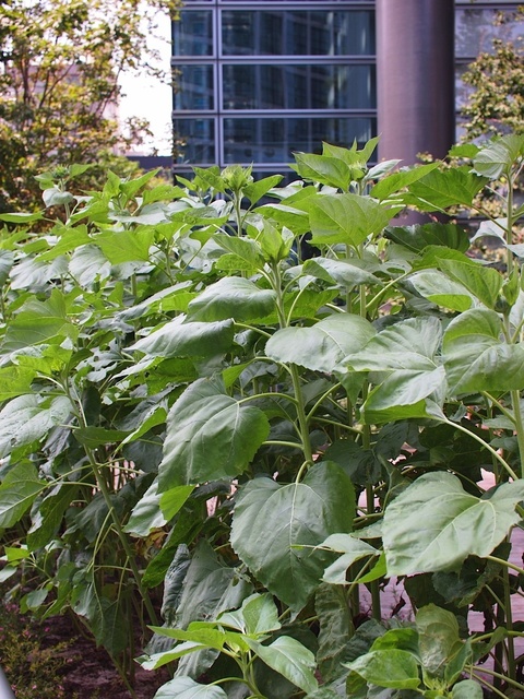 E8086123_1280x960_補正済.jpg