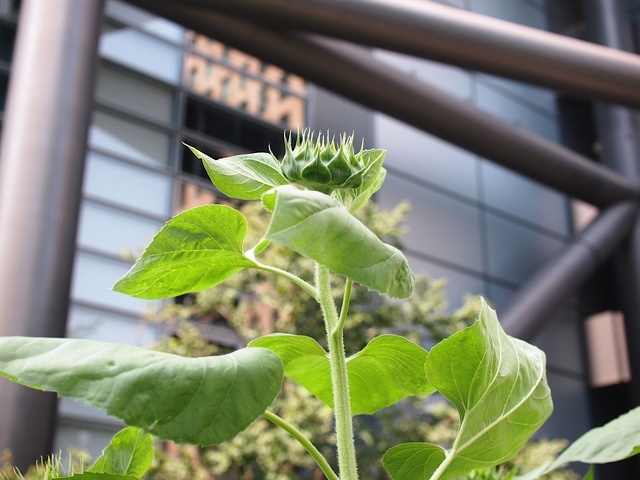 E8086128_1280x960_補正済.jpg