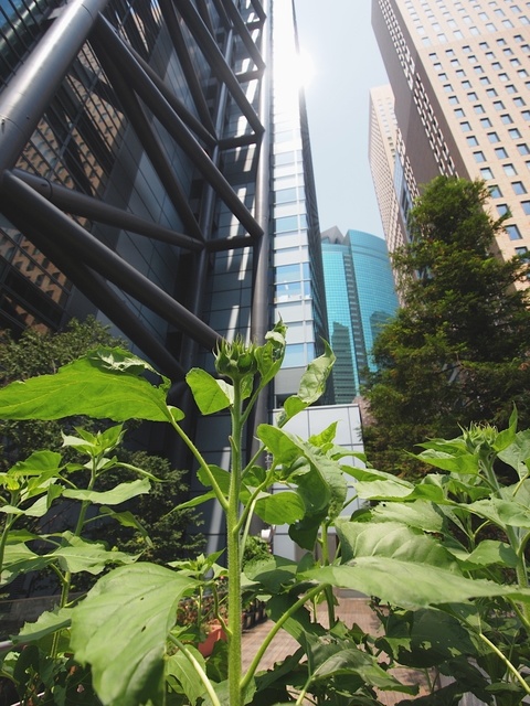 E8086160_1280x960_補正済.jpg
