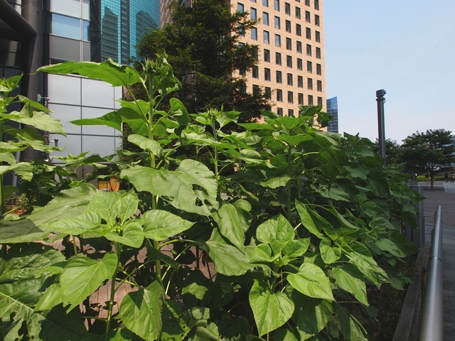 E8086165_1280x960_補正済.jpg