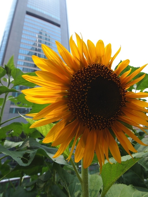 E8106219_1280x960_補正済.jpg