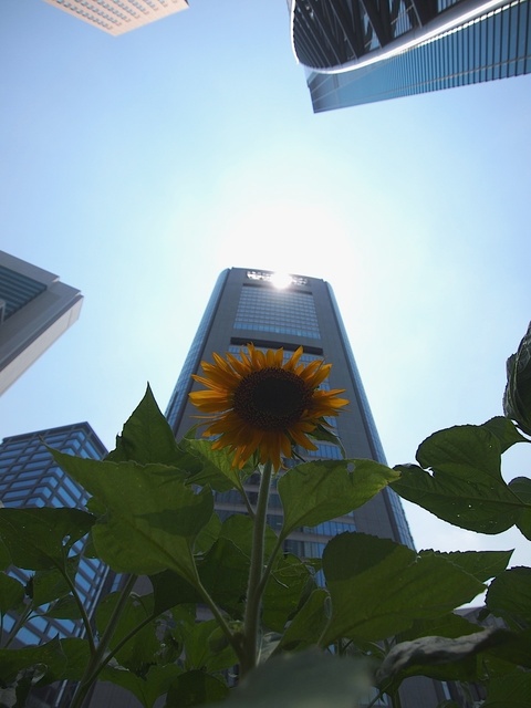 E8106241_1280x960_補正済.jpg
