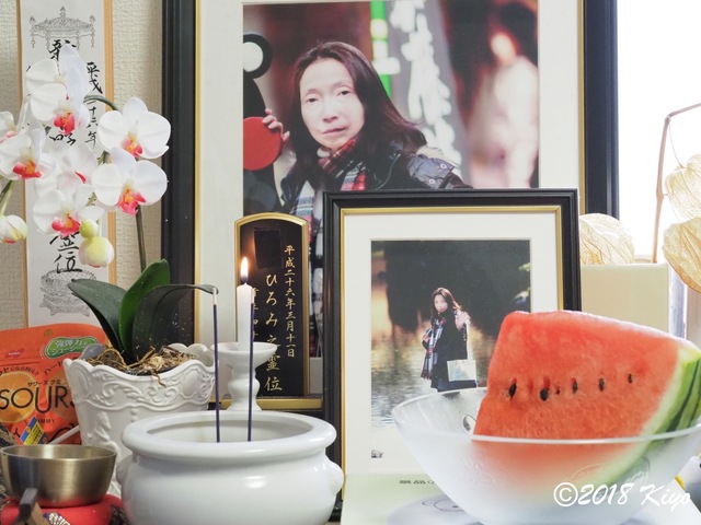 E8315171_2048x1536_signed.jpg