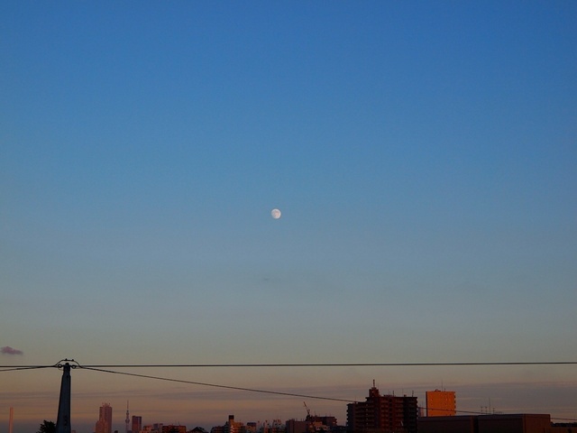 E9106772_1280x960_補正済.jpg