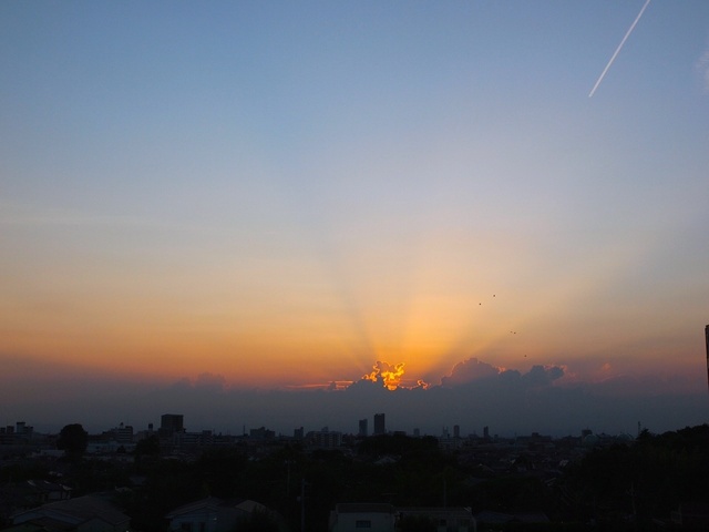 E9106816_1280x960_補正済.jpg