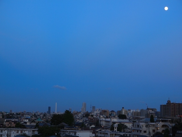 E9106887_1280x960_補正済.jpg