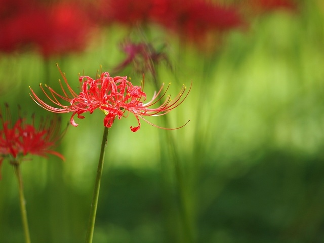 E9227042_1280x960_補正済.jpg