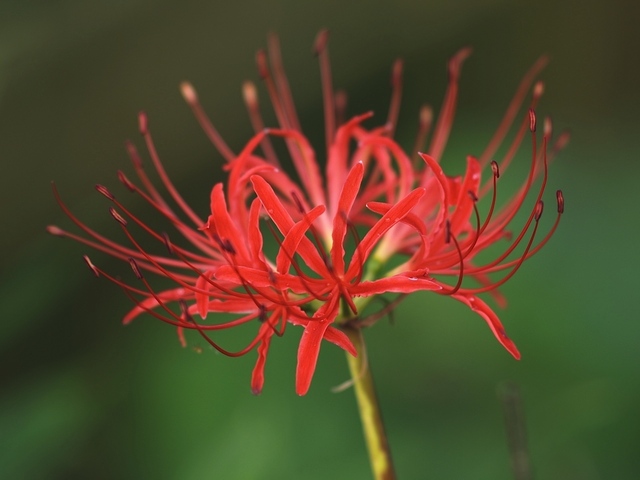 E9227092_1280x960_補正済.jpg