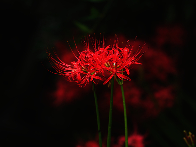 E9227112_1280x960_補正済.jpg