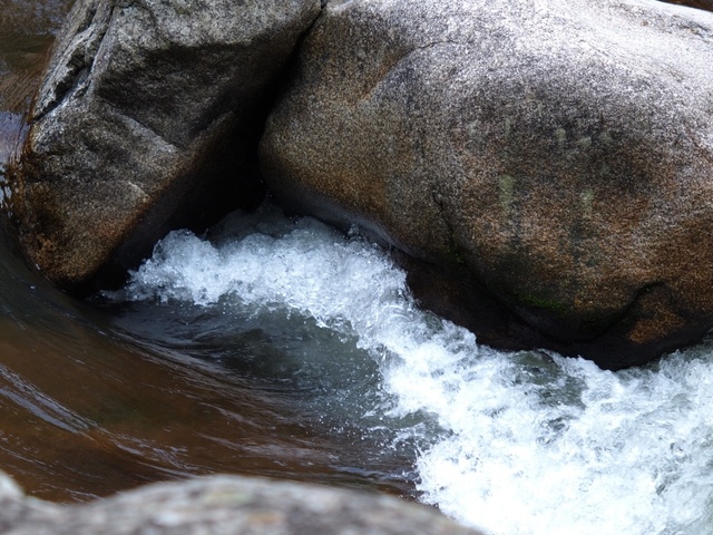 EA248225_1280x960_補正済.jpg