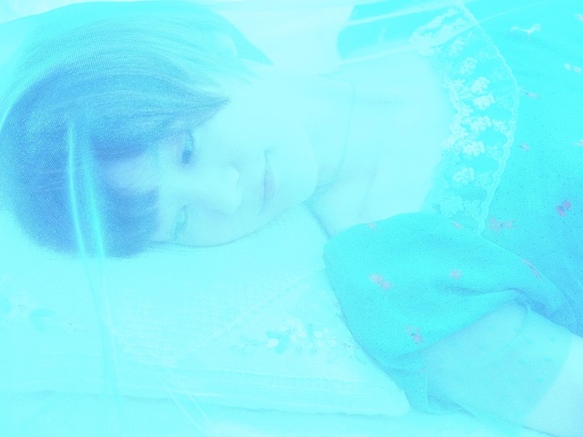 EB068501_1280x853_補正済.jpg