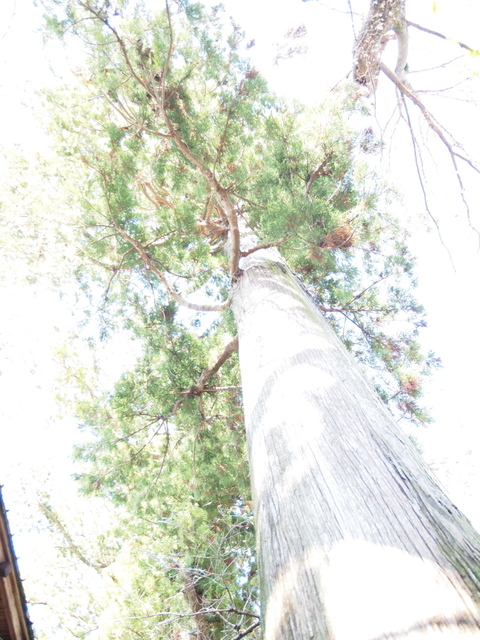 EB208628_1280x960.jpg