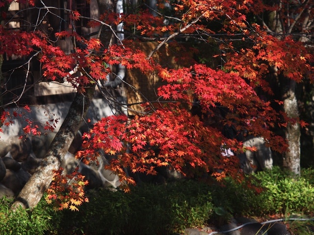 EB208830_1280x960_補正済.jpg