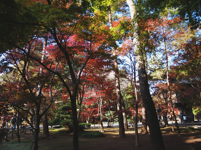 EB239033_1280x960_補正済.jpg