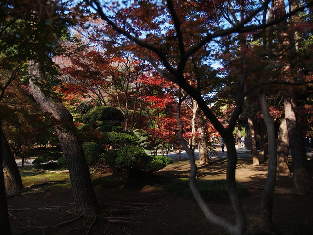 EB239034_1280x960_補正済.jpg