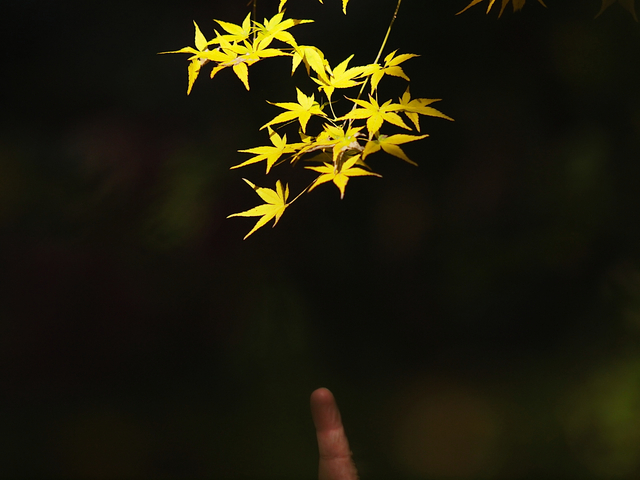 EB239064_1280x960_補正済.jpg