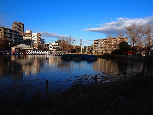 EC261453_1280x960_補正済.jpg