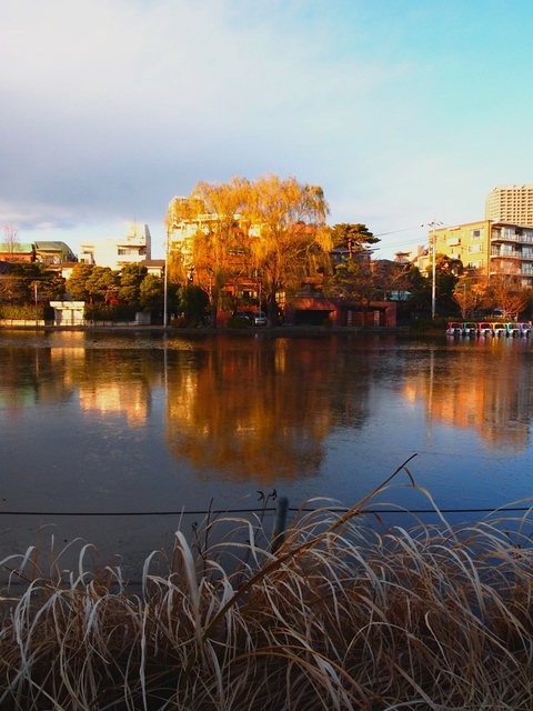 EC261456_1280x960_補正済.jpg