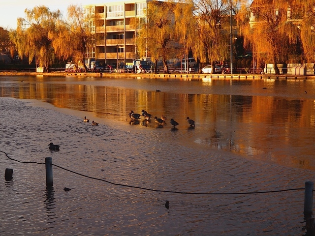 EC261492_1280x960_補正済.jpg