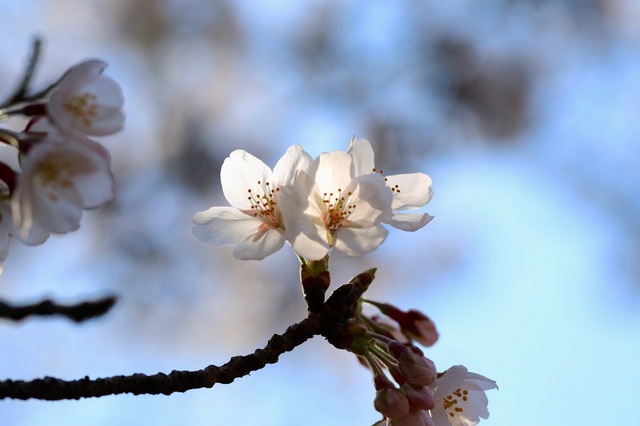 IMG_0662_2048x1365_補正済.jpg