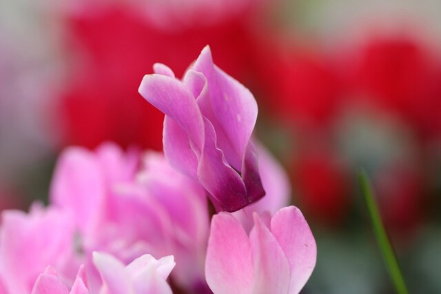 IMG_0676_2048x1365_補正済.jpg
