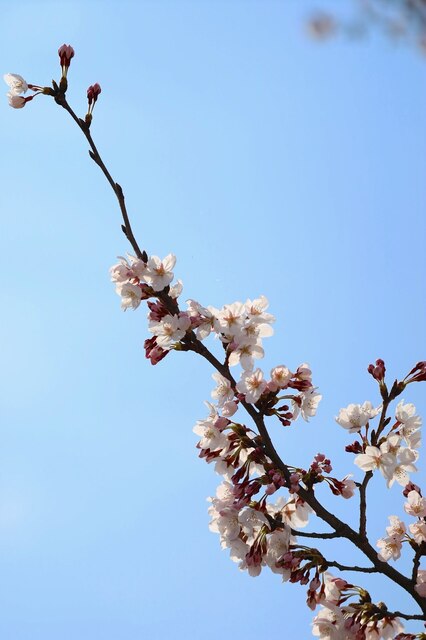 IMG_0686_2048x1365_補正済.jpg