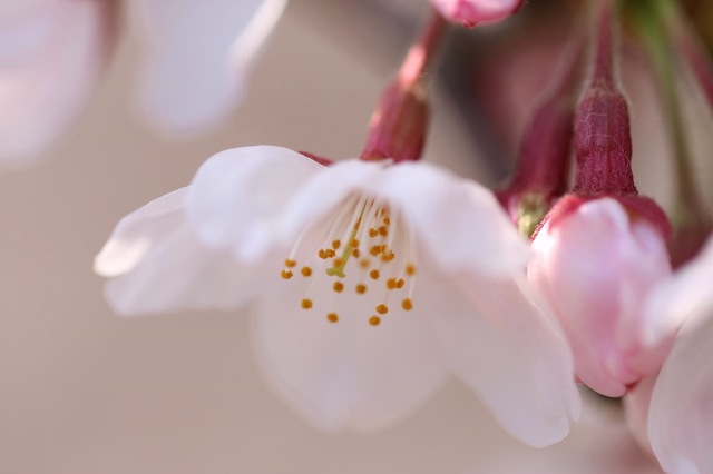 IMG_0689_2048x1365_補正済.jpg